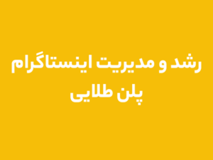 رشد و مدیریت  اینستاگرام پلن طلایی