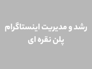 رشد و مدیریت  اینستاگرام پلن نقره ای